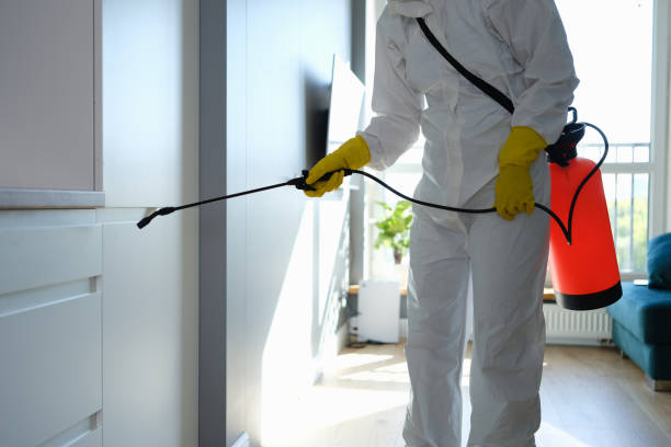 Best Mold Removal Process  in Yoncalla, OR