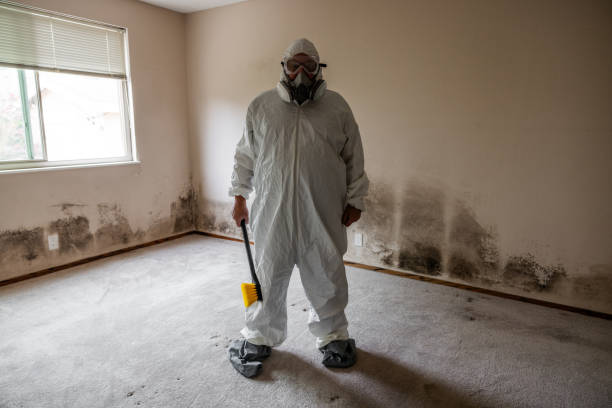 Mold Removal Process in Yoncalla, OR